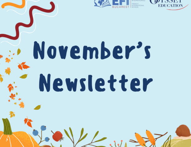 La Newsletter de Novembre